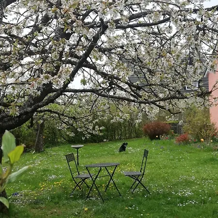 Haus Rosenbusch *